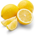 Aktuelles Zitronen Angebot bei Netto Marken-Discount in Wuppertal ab 1,29 €