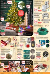 Weihnachtsbaum im GLOBUS Prospekt in Merseburg Aktueller GLOBUS Prospekt mit Weihnachtsbaum, "Aktuelle Angebote", Seite 26