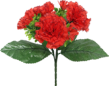 Bazarland Nyons - Promo Bouquet de 5 œillets Promo Bouquet de 5 œillets à 1,99 € dans le catalogue Bazarland à Nyons