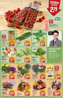 Pflanzen im REWE Prospekt "Dein Markt" mit 34 Seiten (Chemnitz)