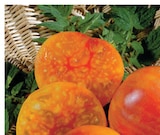 Plants de tomates en promo chez Hyper U Rennes à 1,90 €