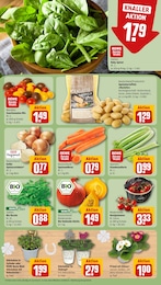 Kartoffeln Angebot im aktuellen REWE Prospekt auf Seite 7