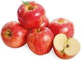 REWE Nabburg - Snack Äpfel Angebot im Prospekt Snack Äpfel bei REWE im Nabburg Prospekt für 2,99 €