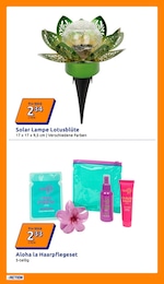Action Solarlampe im Prospekt Action Solarlampe im Prospekt