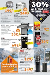 Grillkohle Angebot im aktuellen Globus-Baumarkt Prospekt auf Seite 3