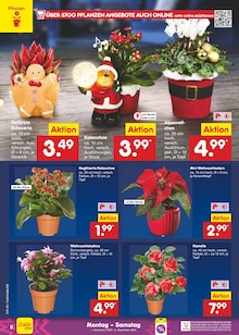Pflanzen im aktuellen Netto Marken-Discount Prospekt (Aachen) Pflanzen im Netto Marken-Discount Prospekt "Aktuelle Angebote" mit 59 Seiten (Aachen)