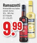 Aktuelles Kräuterlikör oder Limoncello Angebot bei Trinkgut in Hamm ab 9,99 €