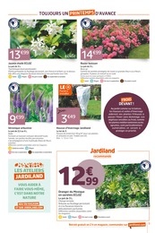 Prix et réduction Rosier Grimpant dans le prospectus Jardiland en cours Offre Rosier Grimpant dans le catalogue Jardiland du moment à la page 5