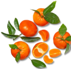 Span. Clementinen mit Blatt von  im aktuellen Kaufland Prospekt für 1,99 €