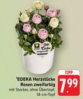 Rosen zweifarbig bei EDEKA im Enkenbach-Alsenborn Prospekt für 7,99 €