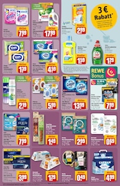 Catsan Angebot im aktuellen REWE Prospekt auf Seite 35