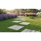 Dalle bois dans le catalogue Carrefour Market