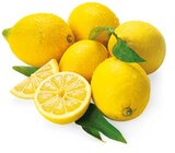 Bio Zitronen im Angebot bei REWE in Freiberg Bio Zitronen Angebote von REWE Bio bei REWE Freiberg für 1,19 €