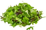 Bio Crispy Salatmix von REWE im aktuellen REWE Prospekt