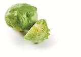 Eisbergsalat im aktuellen Lidl Prospekt