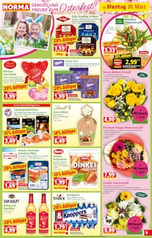 Tulpen im Norma Prospekt "Mehr fürs Geld" mit 22 Seiten (Frankfurt (Main))