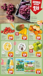 Tierfutter Angebot im aktuellen REWE Prospekt auf Seite 10