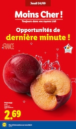 Prix et réduction Fruits Rouges dans le prospectus Lidl en cours Offre Fruits Rouges dans le catalogue Lidl du moment à la page 4