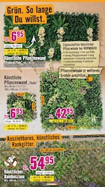 Zaun Sichtschutz im Hornbach Prospekt in Darmstadt Aktueller Hornbach Prospekt mit Zaun Sichtschutz, "Den besten Preis kann nur anbieten, wer ihn wirklich hat.", Seite 29