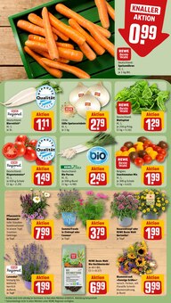 Blumen im REWE Prospekt "Dein Markt" mit 27 Seiten (München)