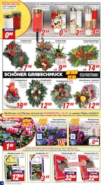 Stiefmütterchen im CENTERSHOP Prospekt in Monheim Aktueller CENTERSHOP Prospekt mit Stiefmütterchen, "Da geht was.", Seite 2