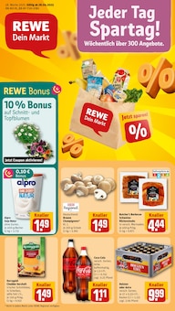 REWE Prospekt Dein Markt mit  Seiten in Sylt und Umgebung