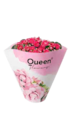Flammendes Käthchen von Grow by OBI im aktuellen OBI Prospekt für 3,49 €