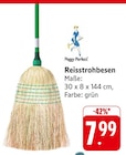 Reisstrohbesen im Angebot bei E center in Rottenburg Reisstrohbesen Angebote von Peggy Perfect bei E center Rottenburg für 7,99 €