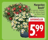 Margeriten Busch Angebote bei EDEKA Friedrichshafen für 5,99 €