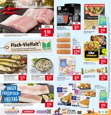 Herd im Marktkauf Prospekt "Aktuelle Angebote" mit 81 Seiten (Ulm)