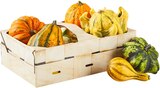 Zierkürbisse im Korb im Angebot bei REWE in Dormagen Zierkürbisse im Korb Angebote von REWE Regional bei REWE Dormagen für 3,99 €