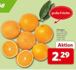 Markant Nordwest Steinhagen - Orangen Angebot im Prospekt Orangen bei Markant Nordwest im Steinhagen Prospekt für 2,29 €
