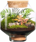 Terrarium Autonome à 29,99 € dans le catalogue Botanic