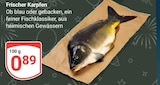 Frischer Karpfen Angebote bei GLOBUS Rostock für 0,89 €