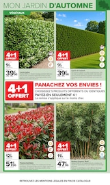 Bambou en promo dans le catalogue Carrefour à la page 6
