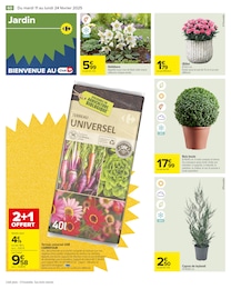 Offre Fleur En Pot dans le catalogue Carrefour du moment à la page 62