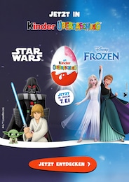 Kinder Überraschung Prospekt mit 1 Seiten (Bodelwitz)