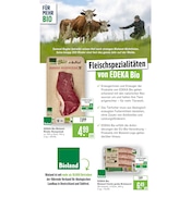 Aktueller Marktkauf Prospekt mit Bratwurst, "Aktuelle Angebote", Seite 44