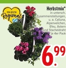 Herbstmix im Angebot bei EDEKA in Kempten Herbstmix Angebote bei EDEKA Kempten für 6,99 €