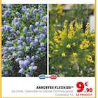 Promo Arbustes fleuries à 9,90 € dans le catalogue Super U à Puyvert