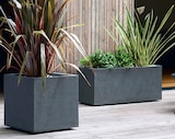 Mr.Bricolage Villefranche-de-Lauragais - Promo Pot carré Basalt UP 21 L Promo Pot carré Basalt UP 21 L à 17,90 € dans le catalogue Mr.Bricolage à Villefranche-de-Lauragais