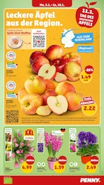 Blumen Angebot & Preis im aktuellen Penny Prospekt Blumen Angebot im aktuellen Penny Prospekt auf Seite 3