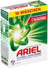 Vollwaschmittel Pulver oder Colorwaschmittel flüssig Angebote von Ariel bei REWE Erkelenz