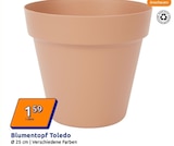 Aktuelles Blumentopf Toledo Angebot bei Action in Wuppertal ab 1,59 €