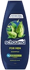 Shampoo FOR MEN im Angebot bei REWE in Leonberg Shampoo FOR MEN Angebote von Schauma bei REWE Leonberg für 1,69 €
