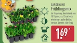 Frühlingsmix von Gardenline im aktuellen ALDI Nord Prospekt für 1,69 €