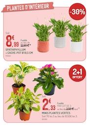 Prix et réduction Cache-Pot dans le prospectus Botanic en cours Offre Cache-Pot dans le catalogue Botanic du moment à la page 5