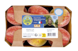 Pomme Gala FILIERE QUALITE CARREFOUR à Carrefour Market dans Ambleny