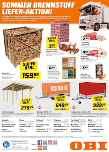 Briketts im OBI Prospekt "SUPERDEALS IM JULI!" mit 8 Seiten (Nürnberg)