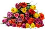 Aktuelles Rosen „Trio“ Angebot bei REWE in Remscheid ab 3,50 €